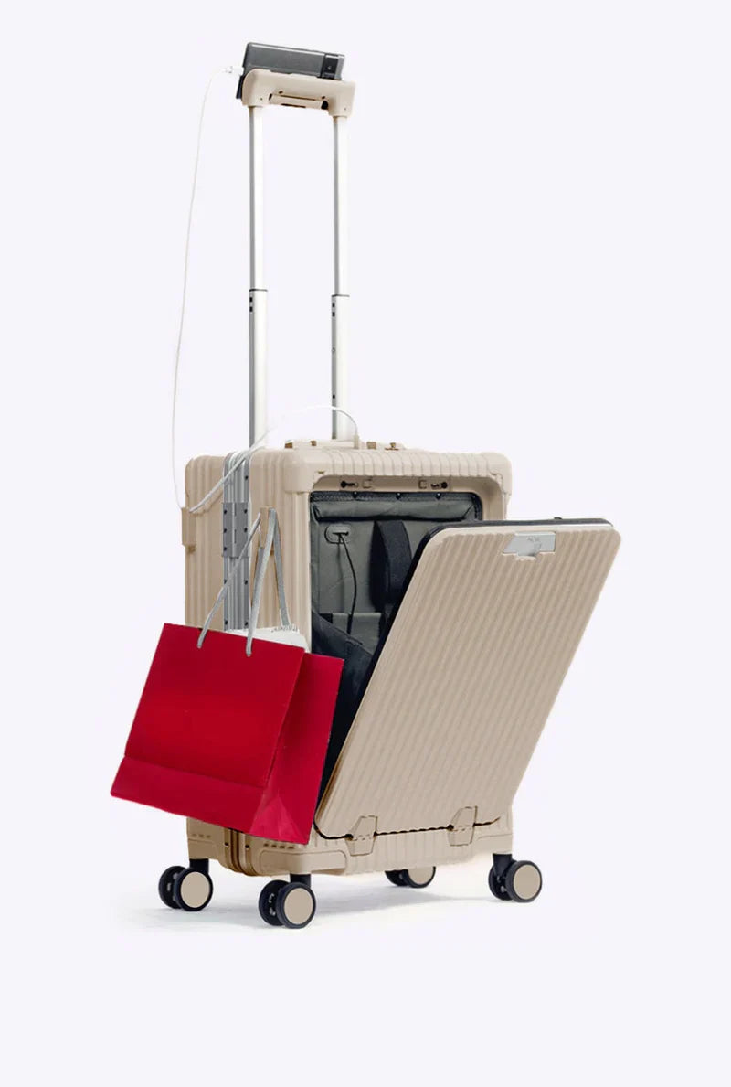 4 in 1 Carry-On Pro suitcase