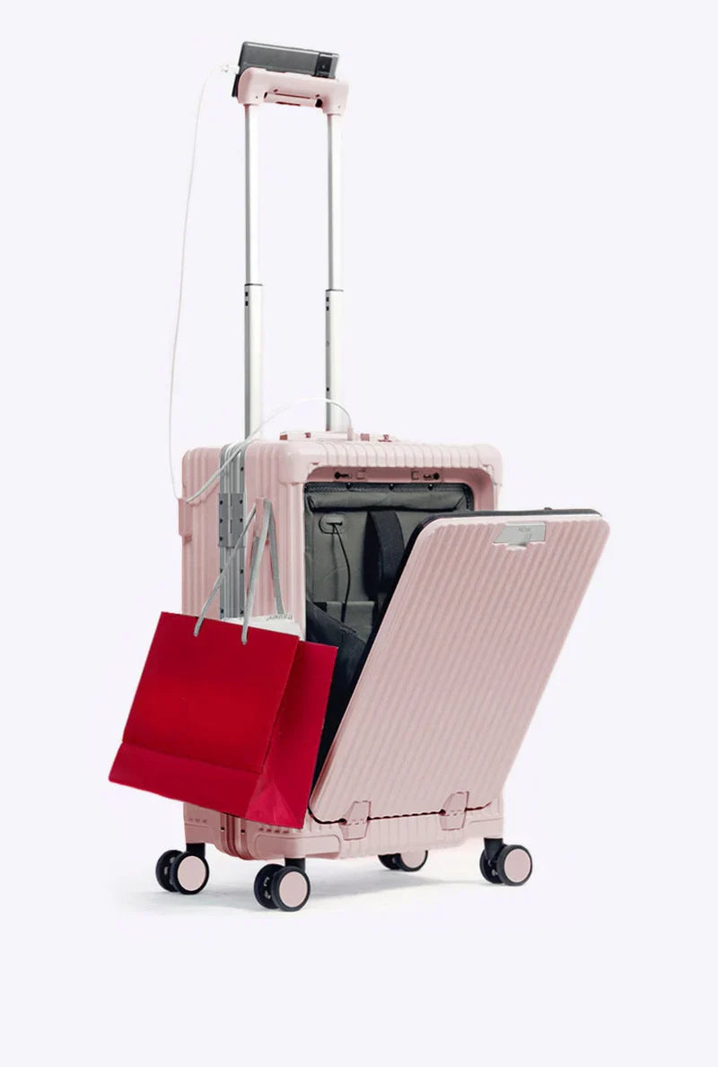 4 in 1 Carry-On Pro suitcase