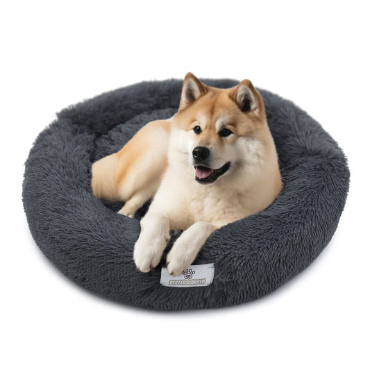 Comfort Cloud Bed